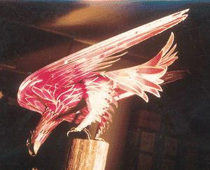 falcon side view